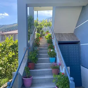 Zotkaj , Berat Albania